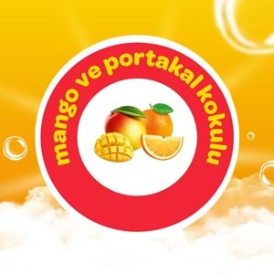 Dalin Köpük Sabun 200ML Mango ve Portakal Kokulu Çoçuklarınız İçin (3 Lü Set)