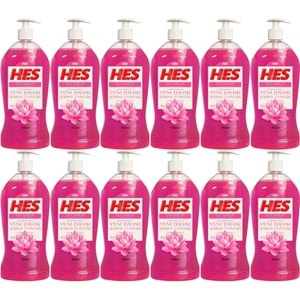 HES Sıvı Sabun 750ML Yeni Bahar (Pompalı) (12 Li Set)