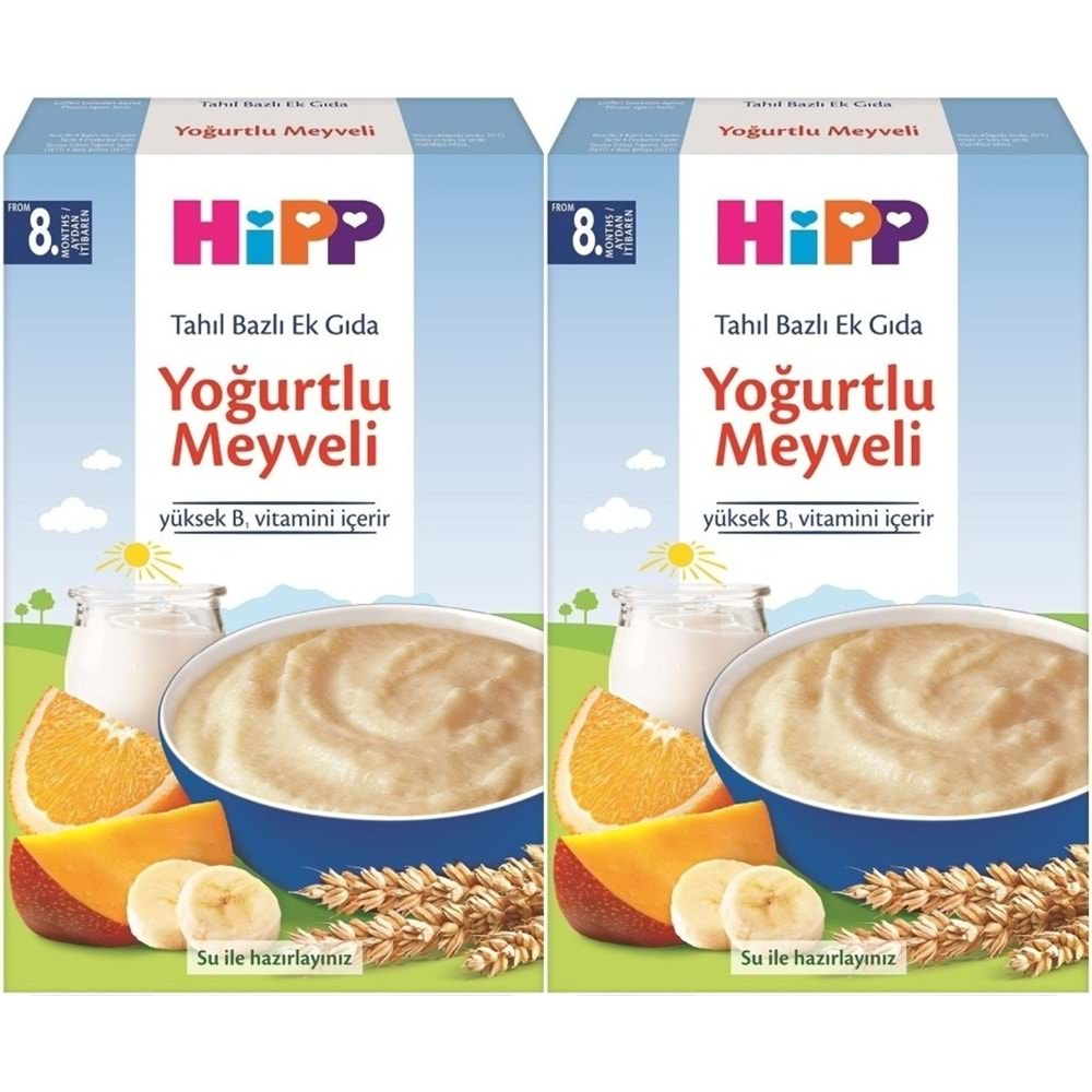 Hipp Organik Sütlü Yoğurtlu Meyveli Kaşık Maması 250Gr (2 Li Set)