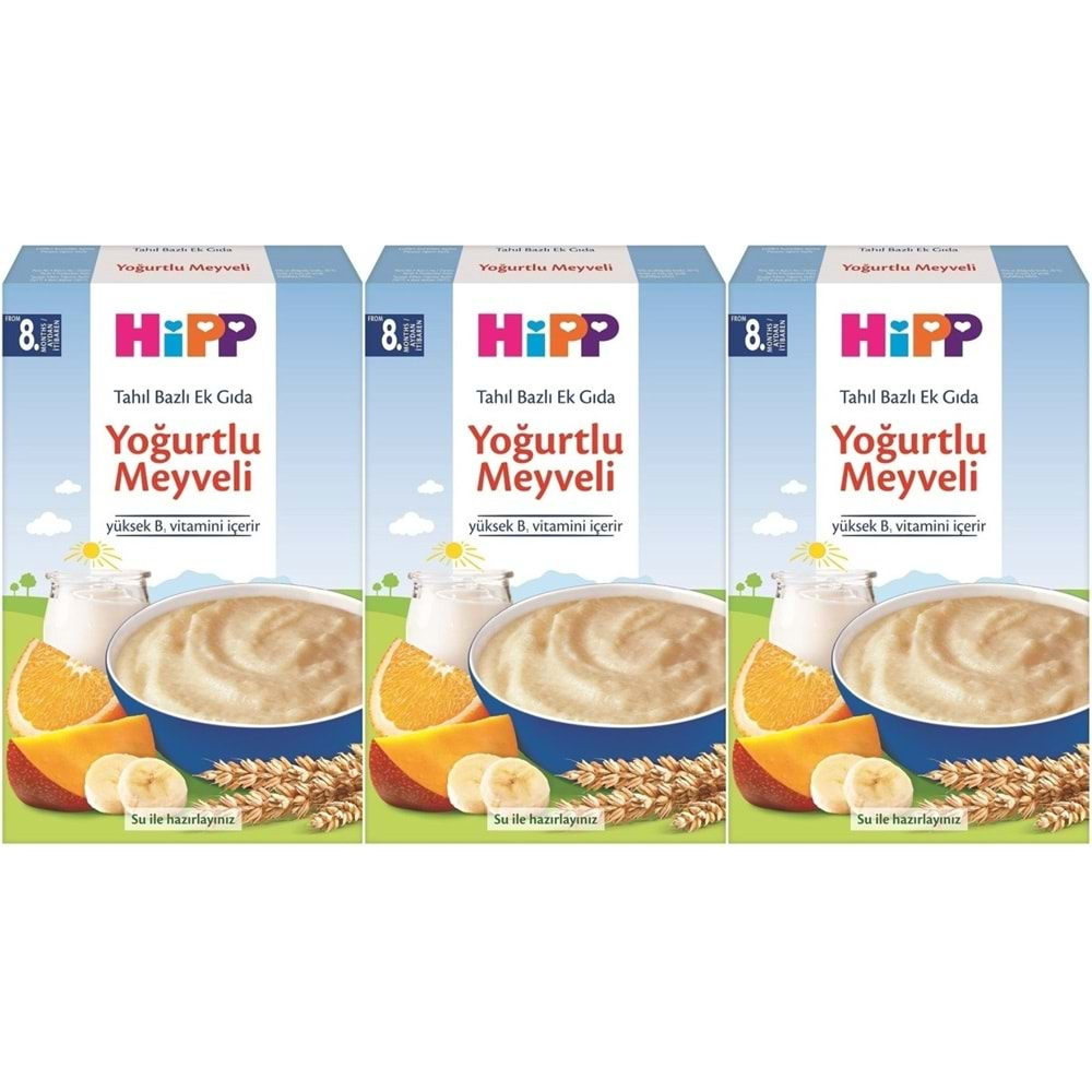 Hipp Organik Sütlü Yoğurtlu Meyveli Kaşık Maması 250Gr (3 Lü Set)