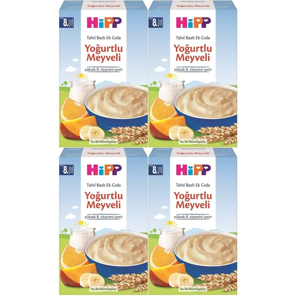 Hipp Organik Sütlü Yoğurtlu Meyveli Kaşık Maması 250Gr (4 Lü Set)