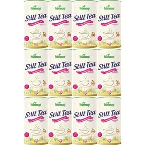 Hünnap Still Tea Emziren Anneler İçin Süt Arttırıcı İçecek 200GR (12 Li Set)