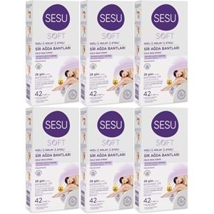 Sesu Sir Ağda Bandı 42 Li Pk Soft (6 Lı Set)