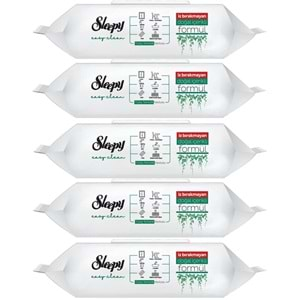 Sleepy Easy Clean Yüzey Temizlik Havlusu 100 Yaprak Plastik Kapaklı (5 Li Set) 500 Yaprak