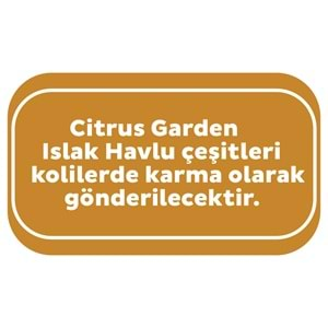 Sleepy Islak Havlu Mendil Meyve Çeşitleri 90 Yaprak (3 Lü Set) Plastik Kapaklı (Citrus Garden)